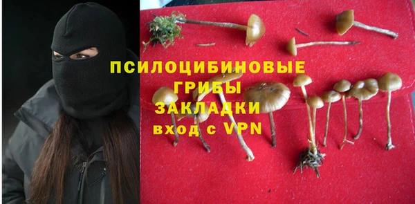 стаф Навашино