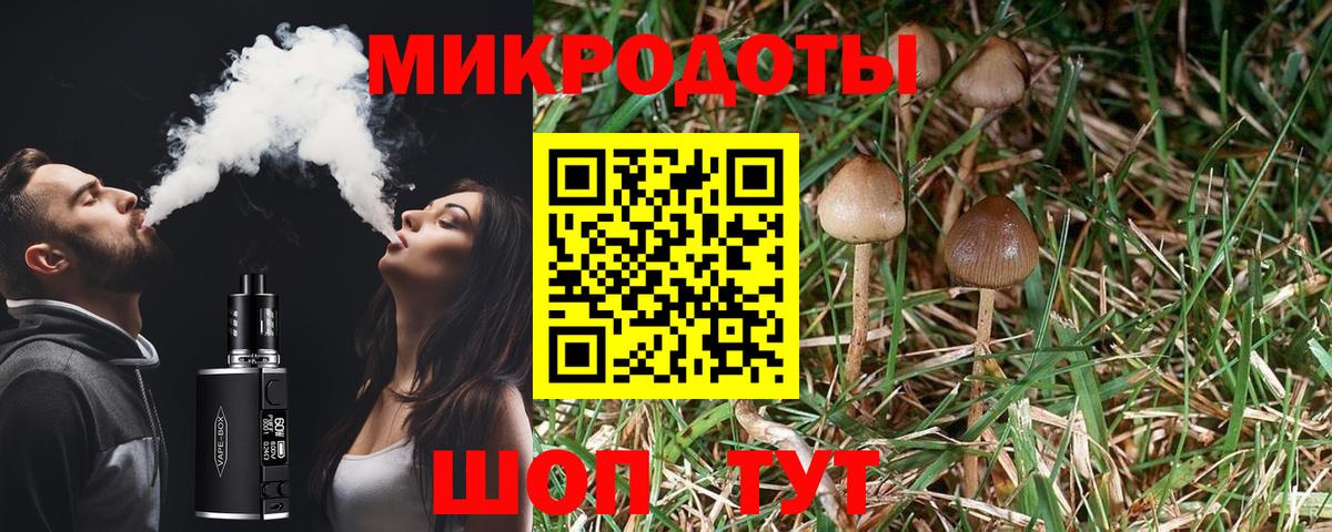 Галлюциногенные грибы мухоморы Калининград
