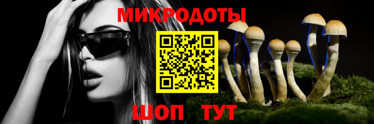 Галлюциногенные грибы GOLDEN TEACHER  Вход с VPN  Калининград  Галлюциногенные грибы мицелий 